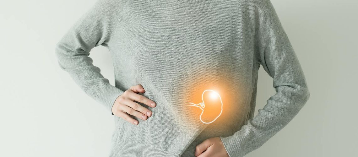 Peut-on vivre normalement sans rate ?